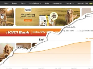 Super Tails Case Study